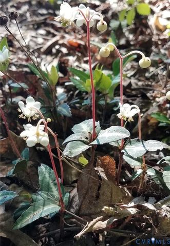 1185 Belle Meade Rd, Bumpass, VA 23024