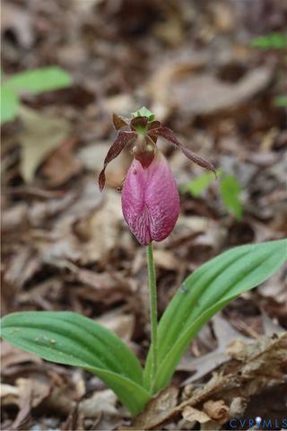 1185 Belle Meade Rd, Bumpass, VA 23024