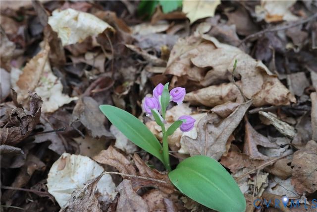 1185 Belle Meade Rd, Bumpass, VA 23024