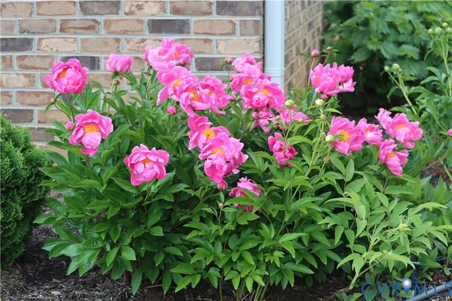 1185 Belle Meade Rd, Bumpass, VA 23024