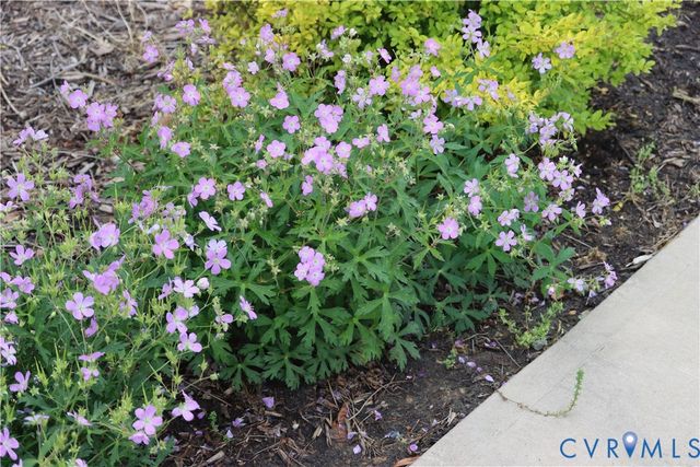 1185 Belle Meade Rd, Bumpass, VA 23024