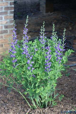 1185 Belle Meade Rd, Bumpass, VA 23024