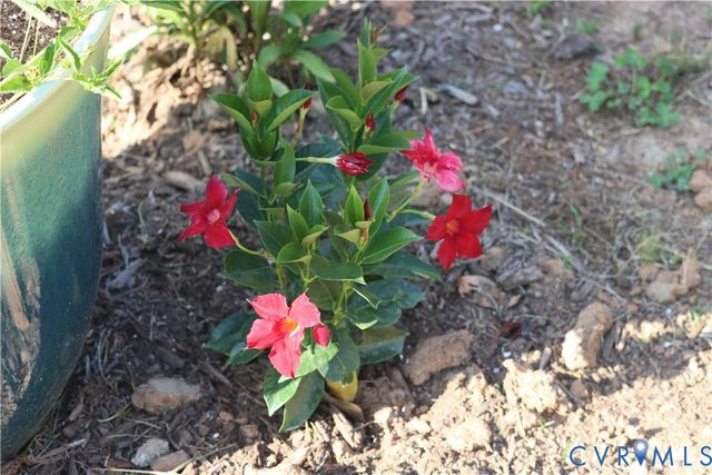 1185 Belle Meade Rd, Bumpass, VA 23024