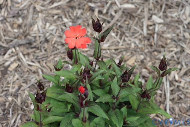 1185 Belle Meade Rd, Bumpass, VA 23024