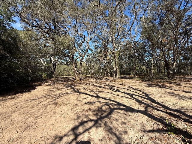 131 W MASSACHUSETTS STREET, Hernando, FL 34442