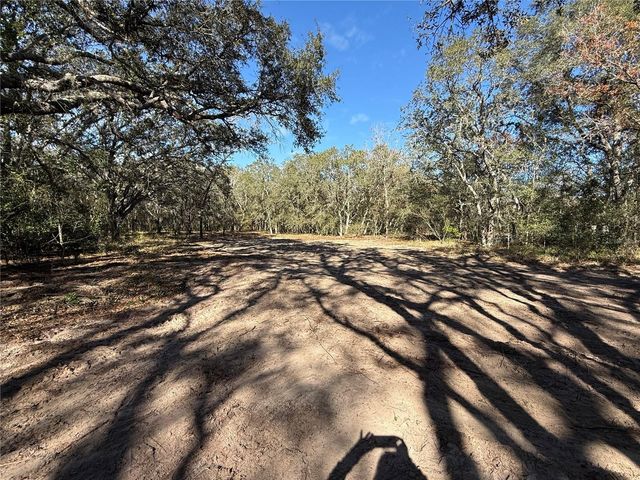 131 W MASSACHUSETTS STREET, Hernando, FL 34442