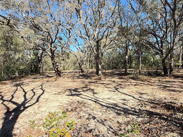 131 W MASSACHUSETTS STREET, Hernando, FL 34442