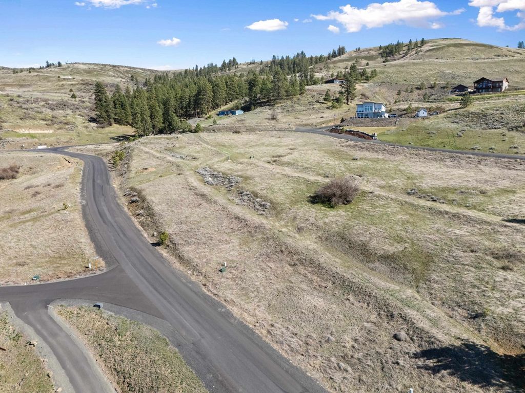 41140 Lakeview Heights Dr. N., Davenport, WA 99122 photo 5