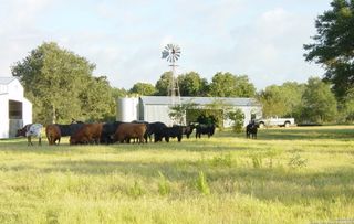 1700 Bruce, Poteet, TX 78065