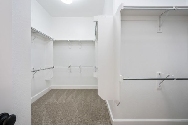 13696 Thornton Drive, Frisco, TX 75035