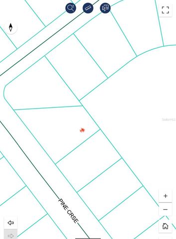 124 PINE COURSE, Ocala, FL 34472