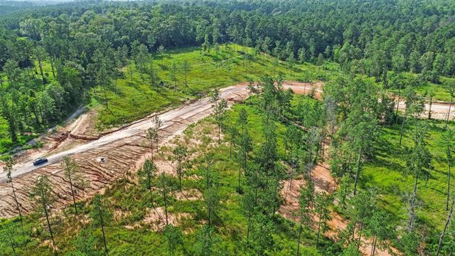 0 Anna Grace Road, Livingston, TX 77351