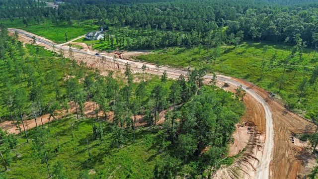 0 Anna Grace Road, Livingston, TX 77351