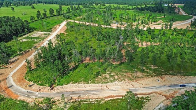 0 Anna Grace Road, Livingston, TX 77351