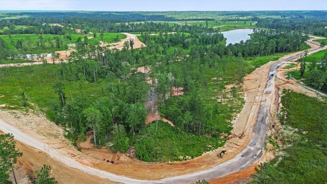 0 Anna Grace Road, Livingston, TX 77351