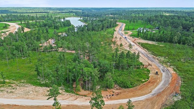 0 Anna Grace Road, Livingston, TX 77351