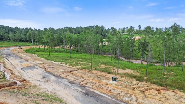 0 Anna Grace Road, Livingston, TX 77351