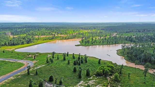 0 Anna Grace Road, Livingston, TX 77351