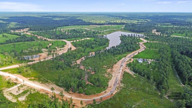 0 Anna Grace Road, Livingston, TX 77351