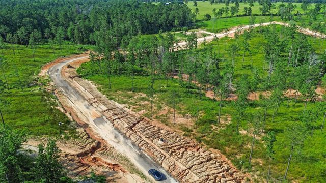 0 Anna Grace Road, Livingston, TX 77351