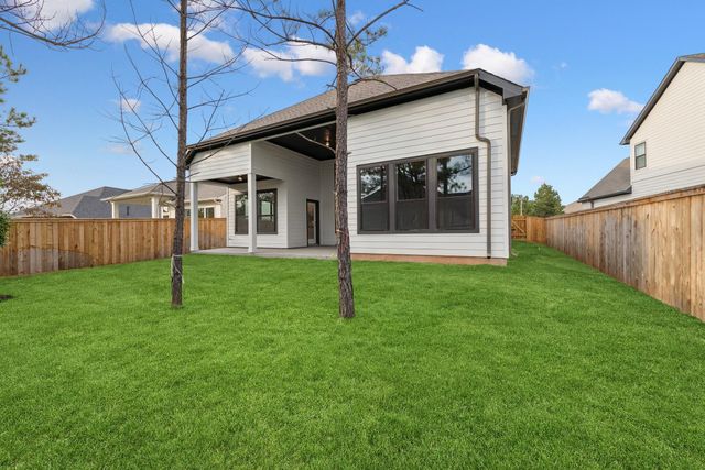 26511 Pioneer Pointe Court, Montgomery, TX 77316