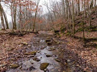 0 Shelter Branch Road, Cumberland Furnace, TN 37051