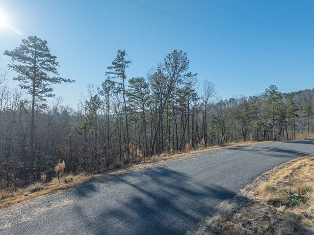 Lot 244 Spear Point Dr, Talking Rock, GA 30175