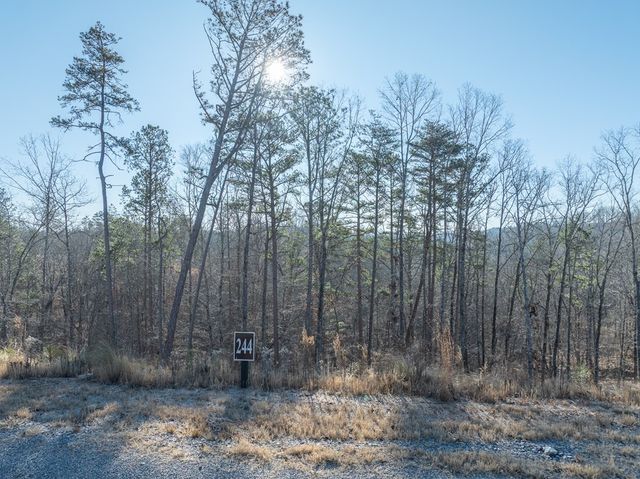 Lot 244 Spear Point Dr, Talking Rock, GA 30175