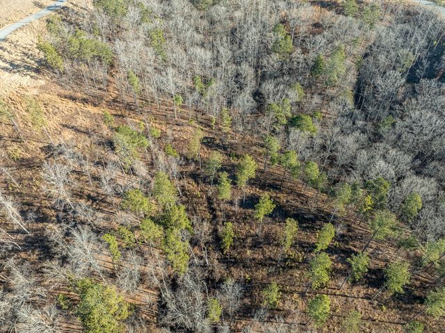 Lot 244 Spear Point Dr, Talking Rock, GA 30175