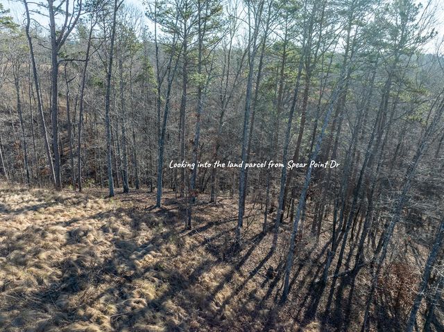 Lot 244 Spear Point Dr, Talking Rock, GA 30175