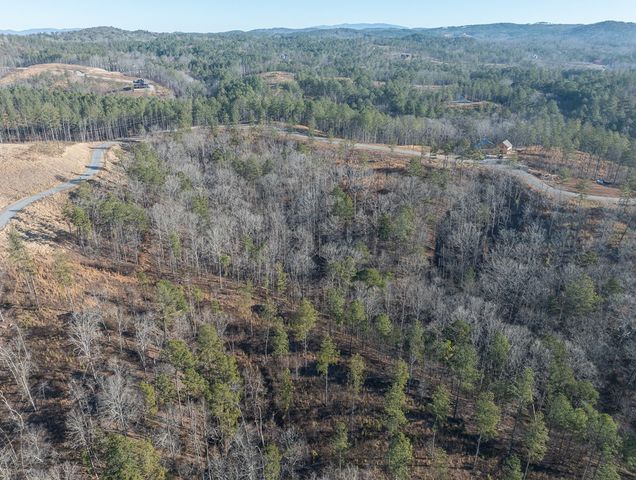 Lot 244 Spear Point Dr, Talking Rock, GA 30175