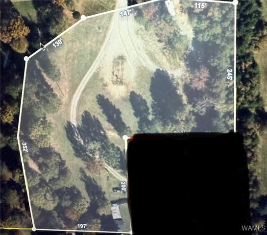 0 Hurricane Valley Road, Brookwood, AL 35444