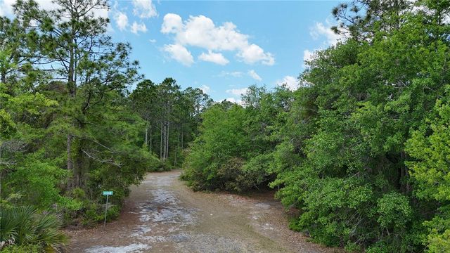 1310 PINE ISLAND DRIVE N, St Cloud, FL 34771