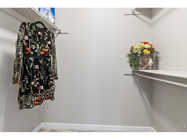 6992 Meadow Rain Way, Wellington, CO 80549