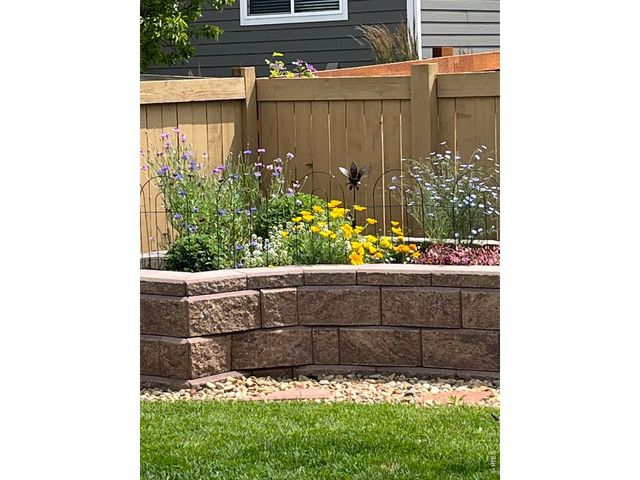 6992 Meadow Rain Way, Wellington, CO 80549