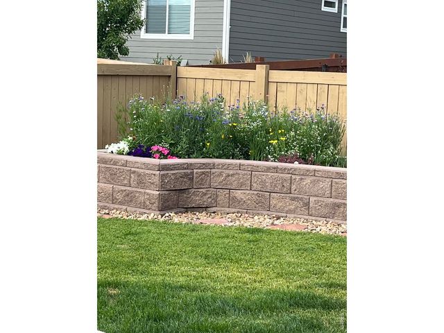 6992 Meadow Rain Way, Wellington, CO 80549