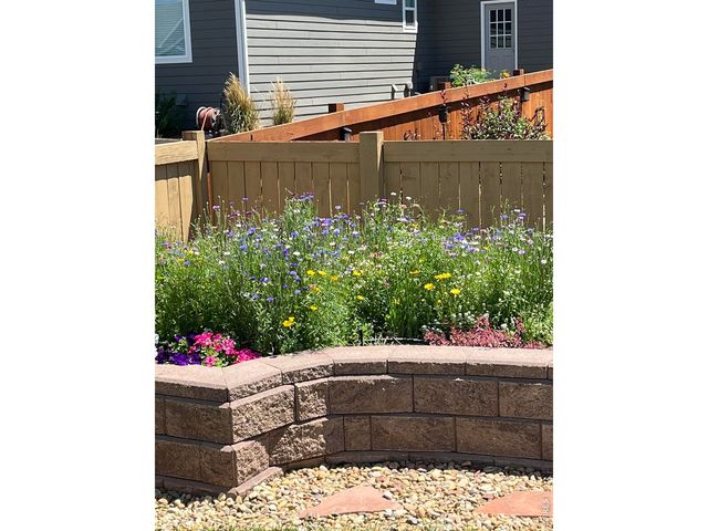 6992 Meadow Rain Way, Wellington, CO 80549