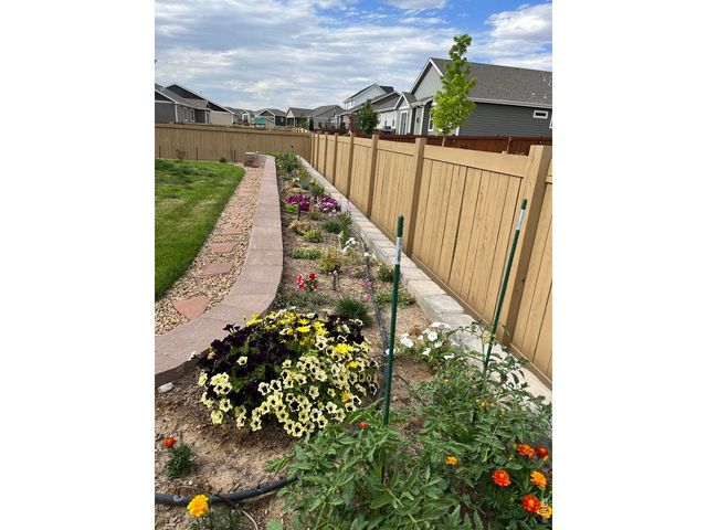 6992 Meadow Rain Way, Wellington, CO 80549