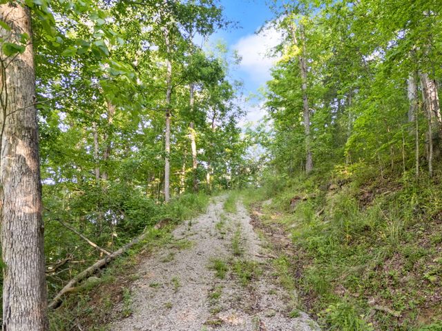 12332 Campton Road, Stanton, KY 40380