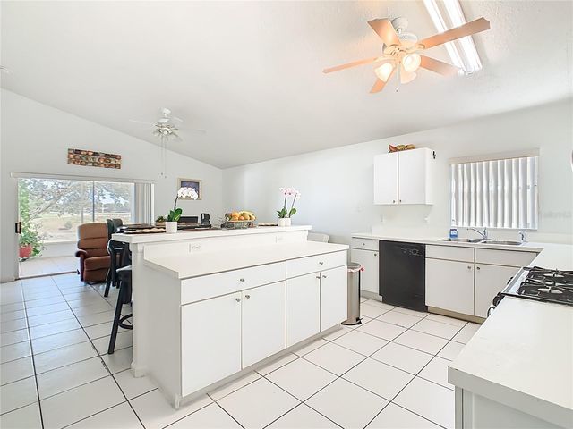 15933 BAY VISTA DRIVE, Clermont, FL 34714