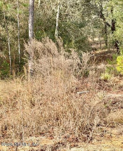 000 ROYAL WAY, Interlachen, FL 32148