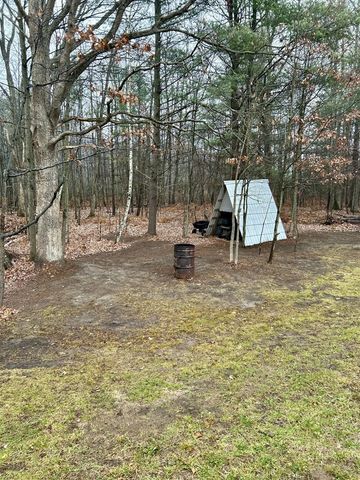 2471 W 12 Mile Road, Bitely, MI 49309