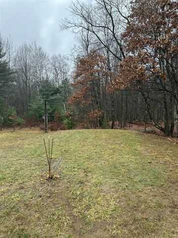 2471 W 12 Mile Road, Bitely, MI 49309