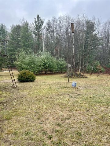 2471 W 12 Mile Road, Bitely, MI 49309