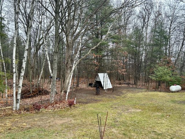 2471 W 12 Mile Road, Bitely, MI 49309