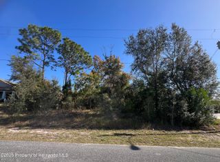 0 Matheson Avenue, Spring Hill, FL 34608
