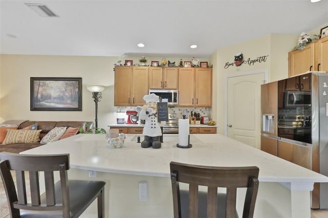 8718 TURNSTONE HAVEN PLACE, Tampa, FL 33619