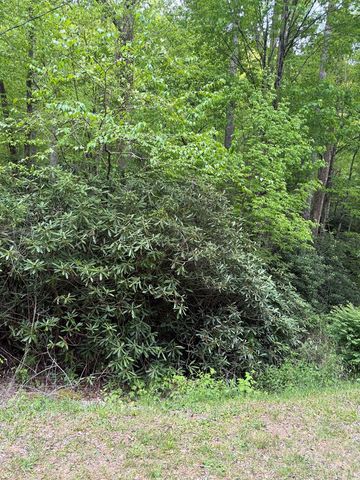 2 lots Warrior Way Road, Topton, NC 28781