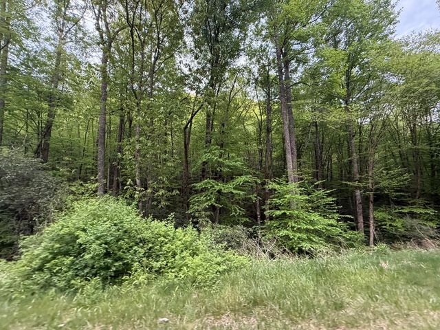 2 lots Warrior Way Road, Topton, NC 28781