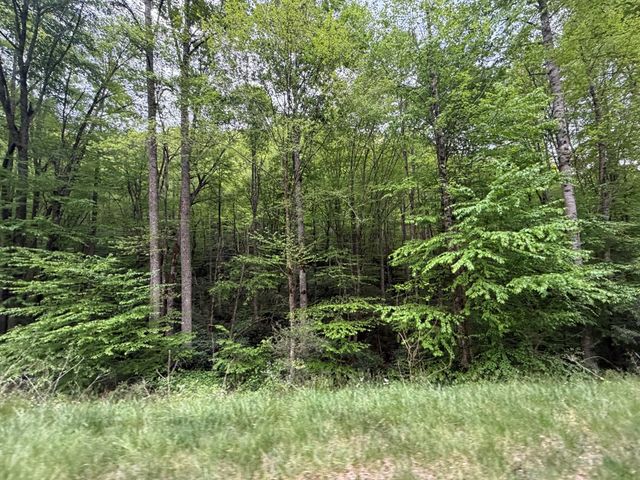 2 lots Warrior Way Road, Topton, NC 28781